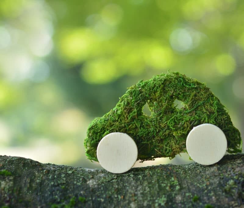 Car of moss