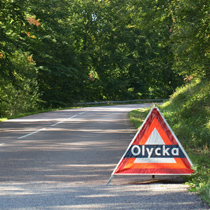 Riskettan Bil